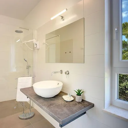 Villa Mit Jacuzzi, Privatem Pool, Baeder En Suite, Liegestuehlen, Bbq Krnica